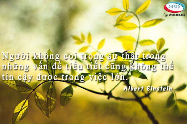 0988318318-nguyen-anh-ngoc-xuat-khau-lao-dong-nhat-ban-xkld-du-hoc-pitsco-hai-phong-danh-ngon-ve-cach-dung-nguoi-14