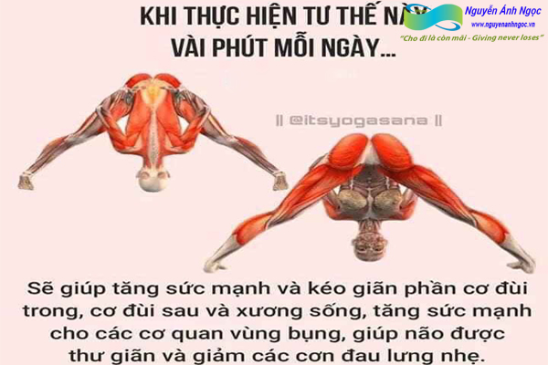 Yoga-cac-tu-the-khoe-dep-0988318318-nguyen-anh-ngoc-xuat-khau-lao-dong-pitsco-hai-phong-trung-tam-tokyo-xkld-tts-ky-su-nhat-ban-03.jpg