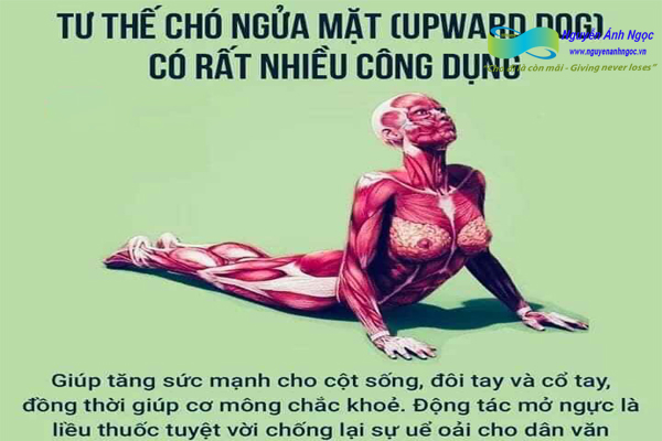 Yoga-cac-tu-the-khoe-dep-0988318318-nguyen-anh-ngoc-xuat-khau-lao-dong-pitsco-hai-phong-trung-tam-tokyo-xkld-tts-ky-su-nhat-ban-07.jpg